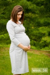 maternity pregnancy weekly